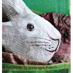 Conin Vert - Apollinaire