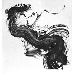 Joyard - le Spleen de Paris