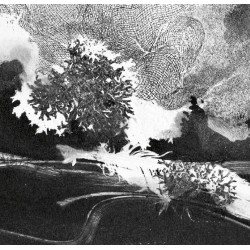 Joyard - Spleen de Paris - crépuscule du soir