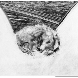 Joyard - Spleen de Paris - Les bons chiens